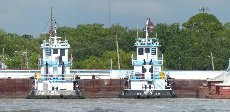 BIG SAM General Cargo IMO 2621494 photo 2