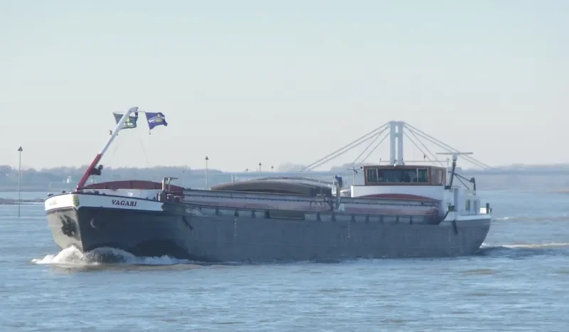 VAGARI General Cargo IMO 3160382 photo 4