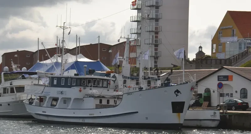 ORCA I General Cargo IMO 3523223 photo 4