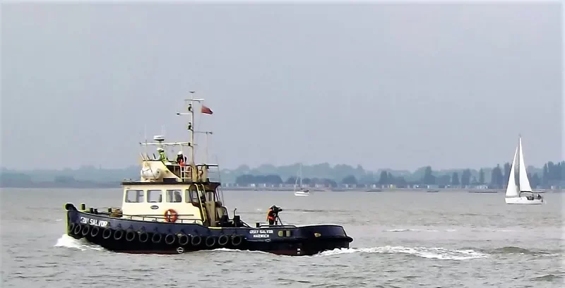 GRAY SALVOR General Cargo IMO 4501014