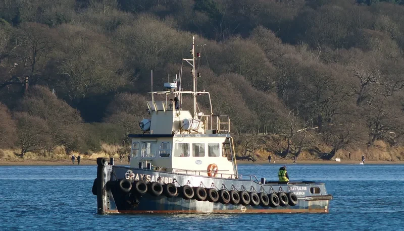 GRAY SALVOR General Cargo IMO 4501014 photo 3