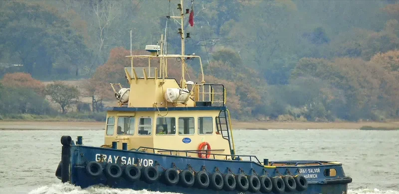 GRAY SALVOR General Cargo IMO 4501014 photo 5