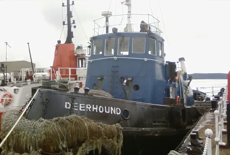 DEERHOUND General Cargo IMO 4902191