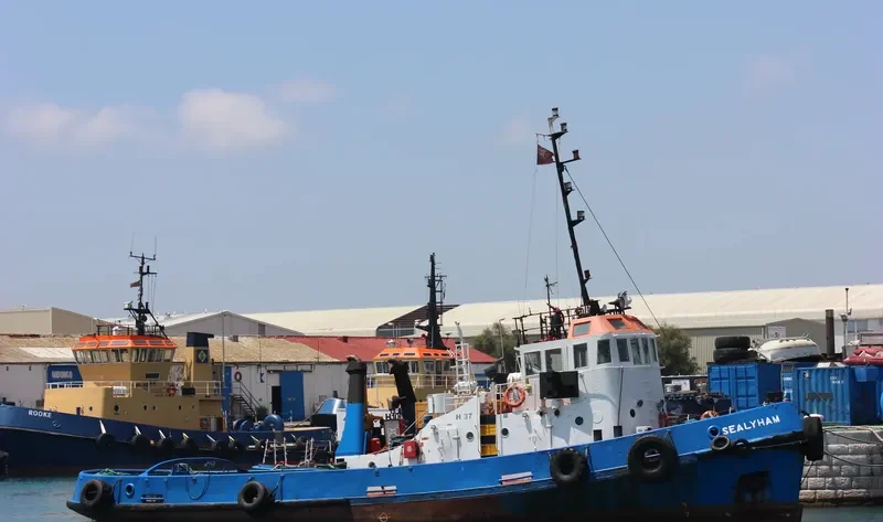 SEALYHAM General Cargo IMO 4902593 photo 6