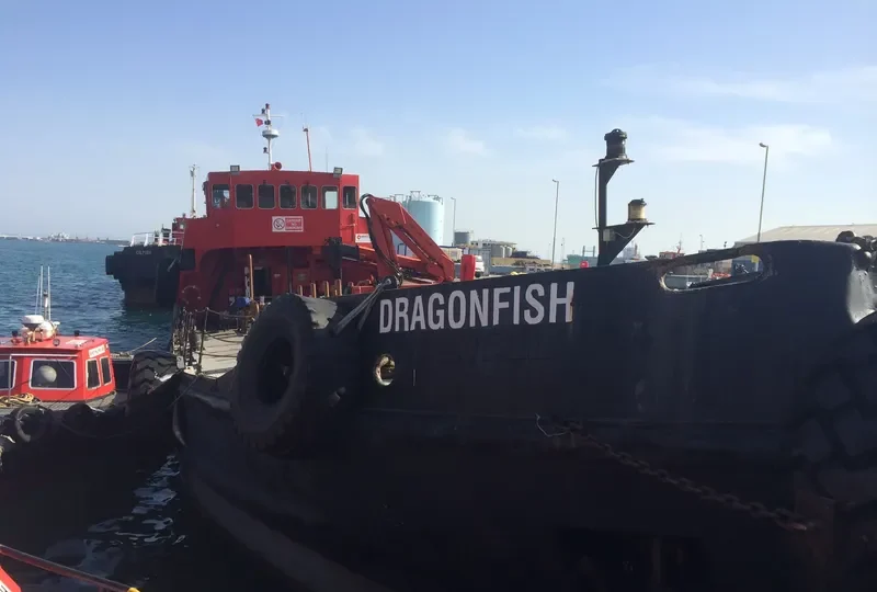 DRAGONFISH Tanker IMO 4903248 photo 9
