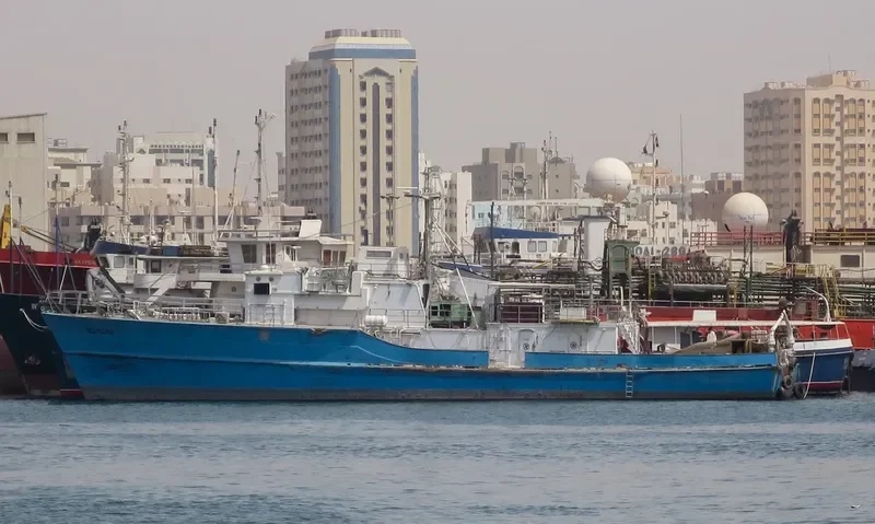 SEA PATROL General Cargo IMO 4908729 photo 5