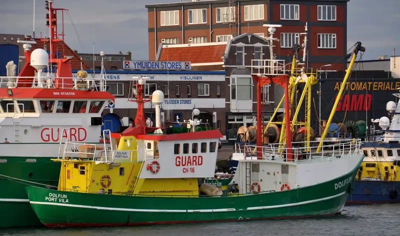 DOLFIJN General Cargo IMO 5004570 photo 10