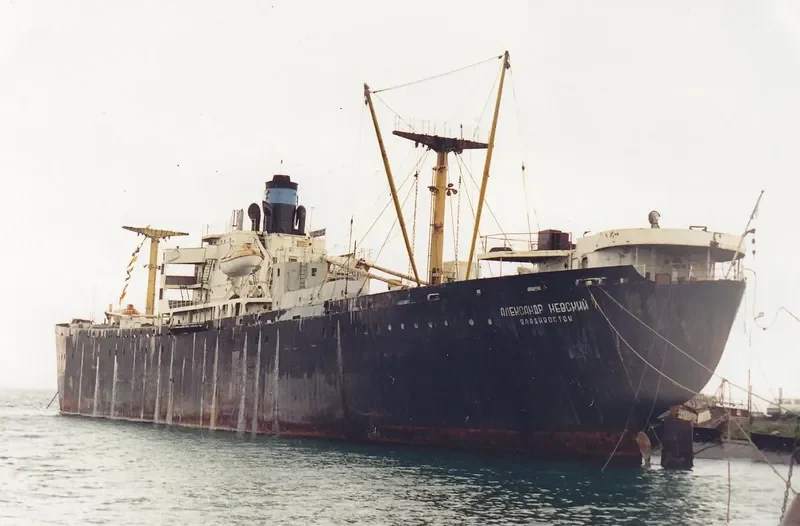 ALEKSANDR NEVSKIY General Cargo IMO 5010268 photo 2