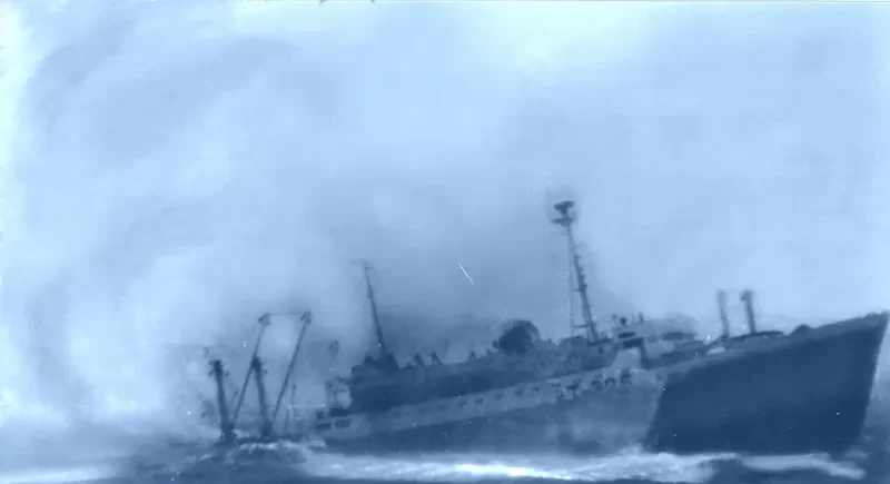ALMAZ General Cargo IMO 5012010