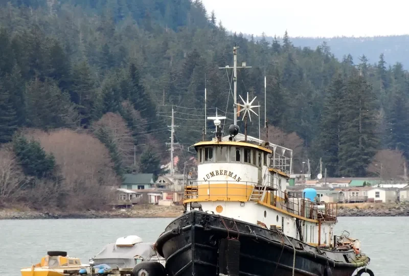LUMBERMAN General Cargo IMO 5016676