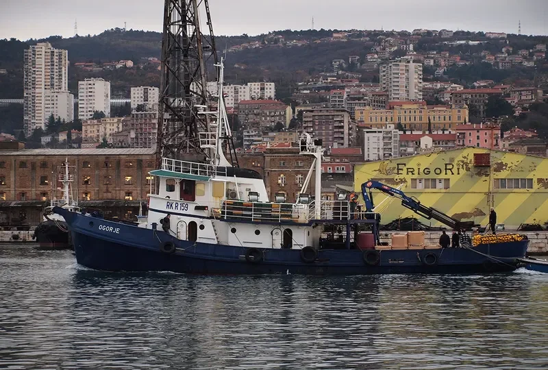 OGORJE General Cargo IMO 5031200