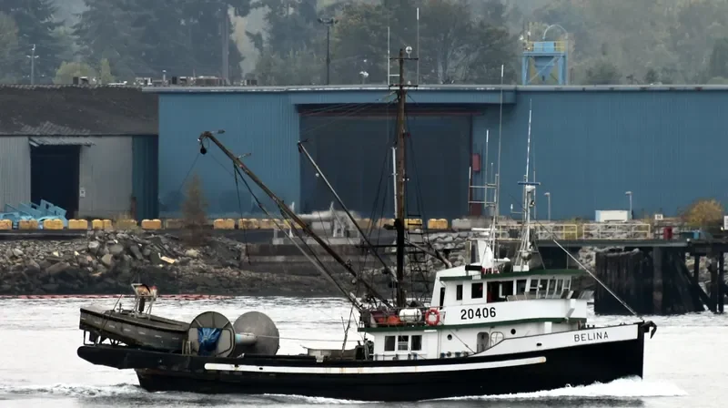 BELINA General Cargo IMO 5039678 photo 2