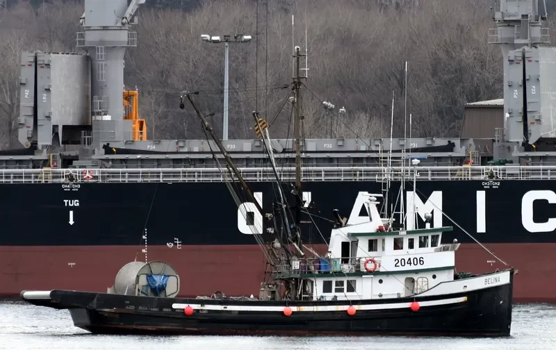 BELINA General Cargo IMO 5039678 photo 5