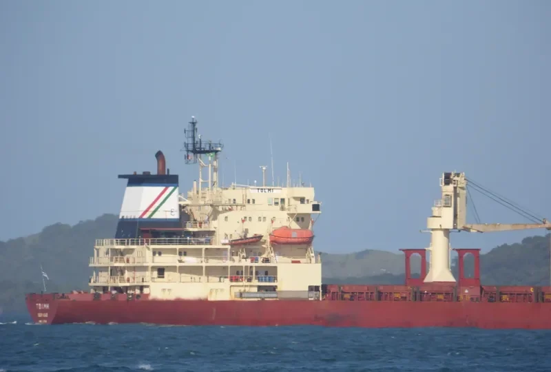 TOLMI General Cargo IMO 5044776