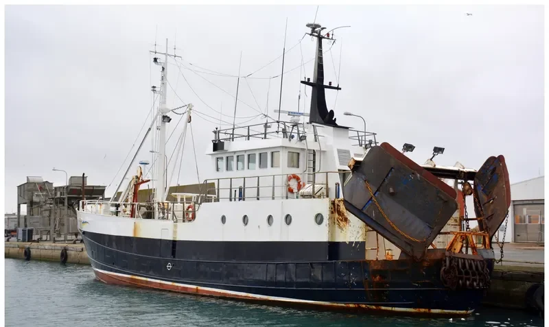 RIGEL General Cargo IMO 5045201