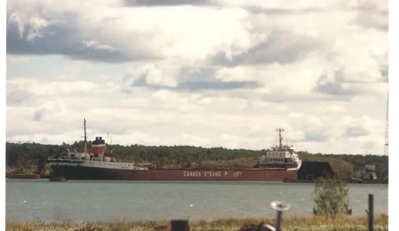 CANADIAN VOYAGER Bulk Carrier IMO 5045811