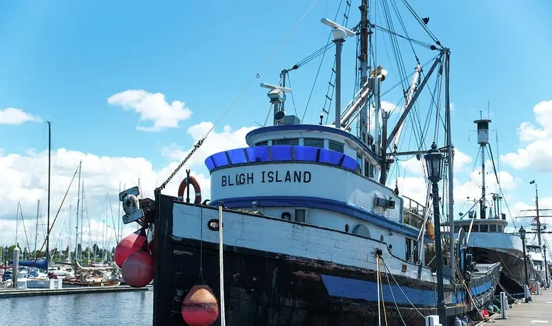 BLIGH ISLAND General Cargo IMO 5046425