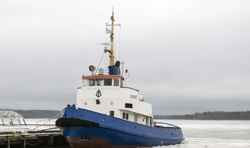 BORE AF VASTERAS General Cargo IMO 5048502 photo 4
