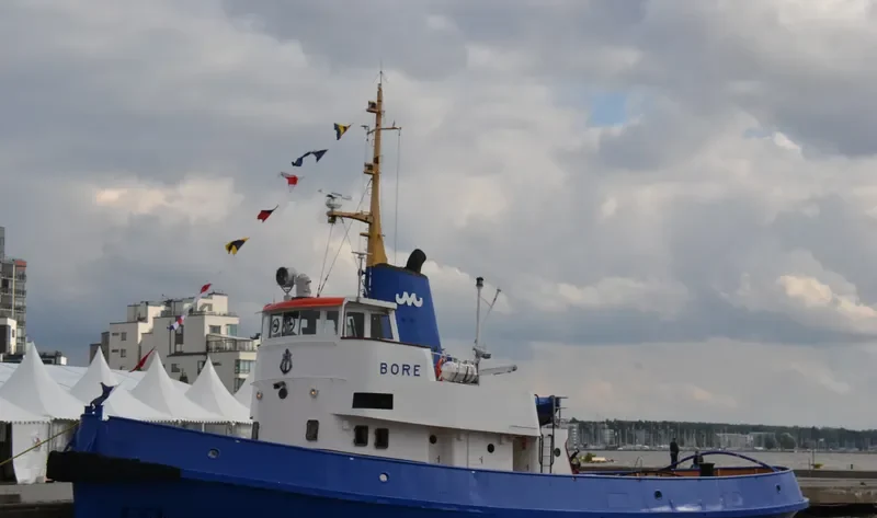 BORE AF VASTERAS General Cargo IMO 5048502 photo 8