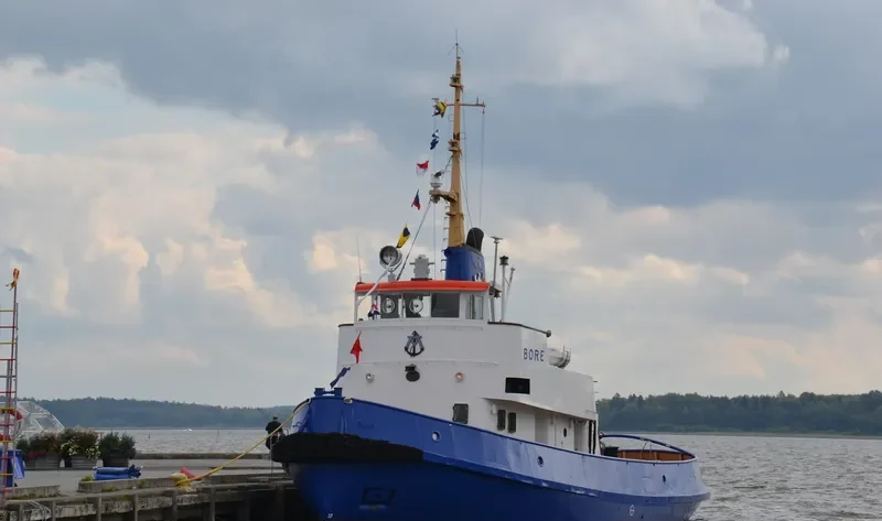 BORE AF VASTERAS General Cargo IMO 5048502 photo 9