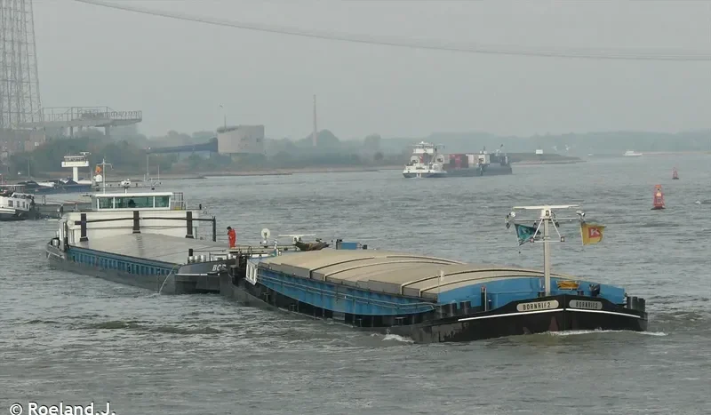 BORNRIF General Cargo IMO 5048928