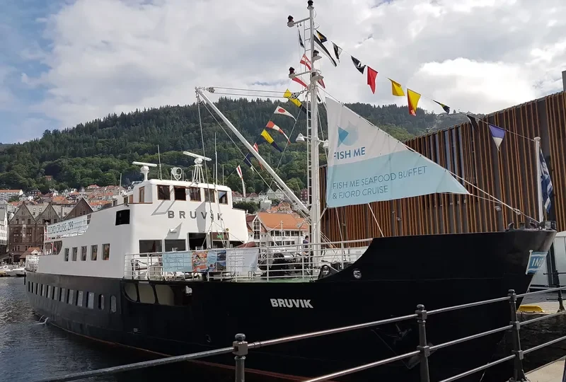 BRUVIK Passenger Ship IMO 5054343 photo 2