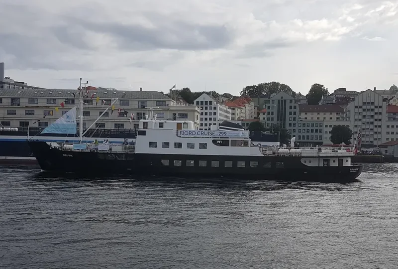 BRUVIK Passenger Ship IMO 5054343 photo 3