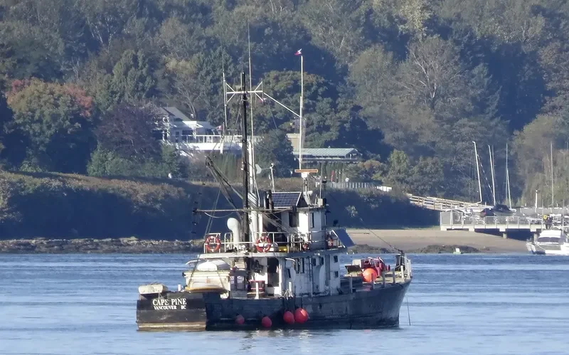 CAPE PINE General Cargo IMO 5061750