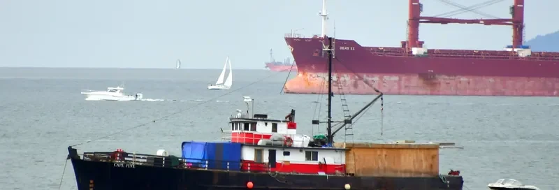 CAPE PINE General Cargo IMO 5061750 photo 2