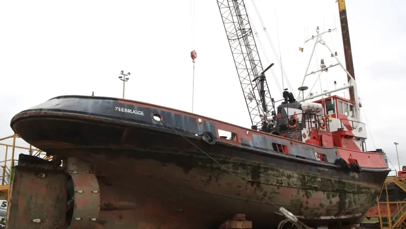IVO General Cargo IMO 5062352
