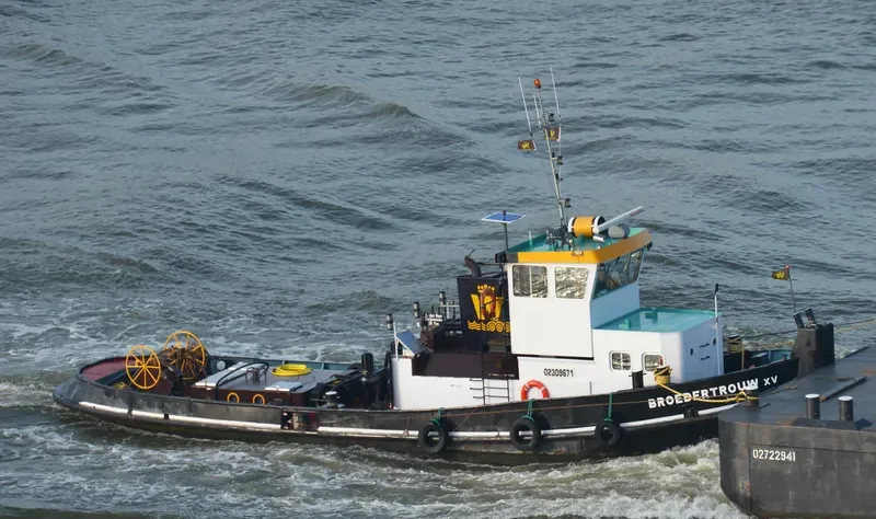 IVO General Cargo IMO 5062352 photo 8