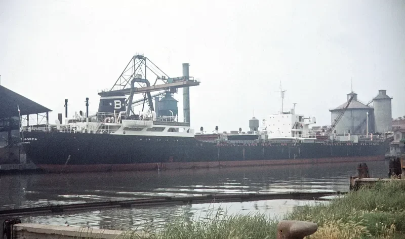 MISENO Bulk Carrier IMO 5064025