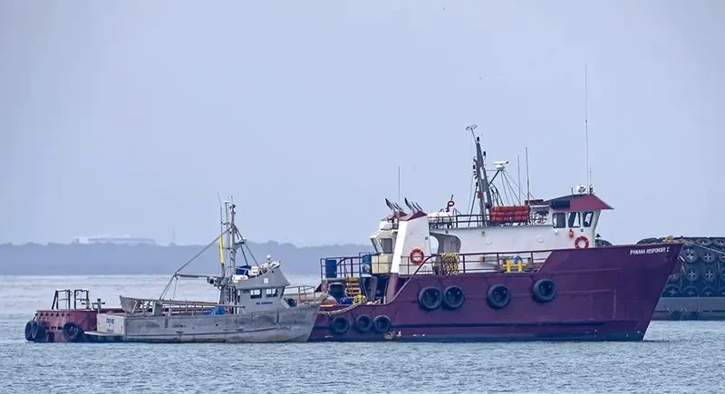 PANAMA RESPONDER I General Cargo IMO 5066451