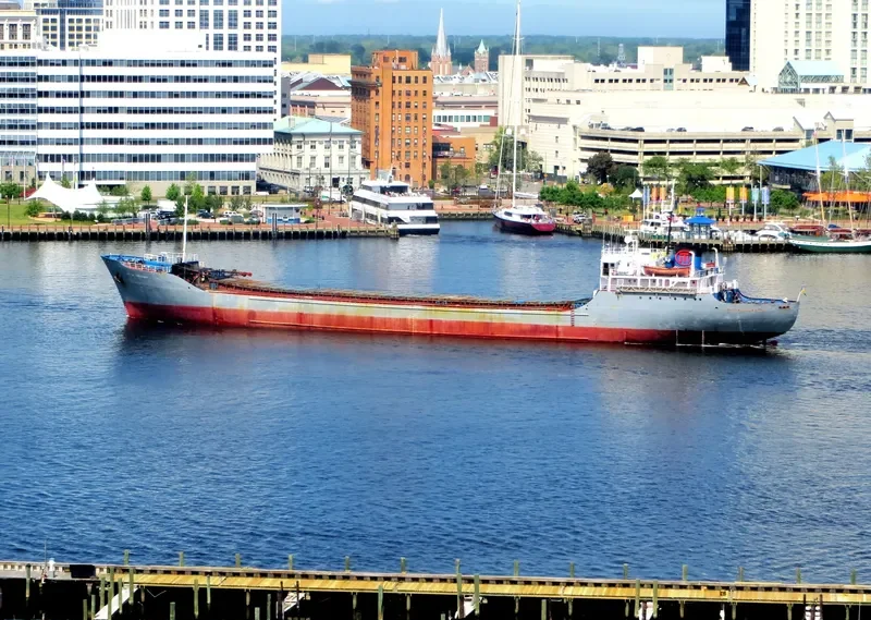 CECILE ERICKSON Bulk Carrier IMO 5066700 photo 3