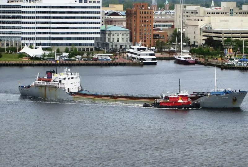 CECILE ERICKSON Bulk Carrier IMO 5066700 photo 4