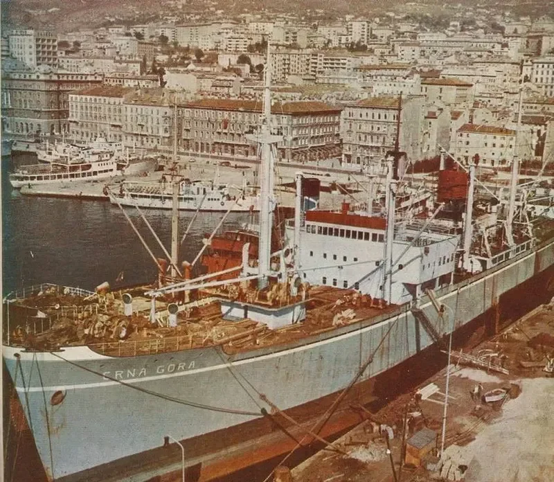 CRNA GORA General Cargo IMO 5082297