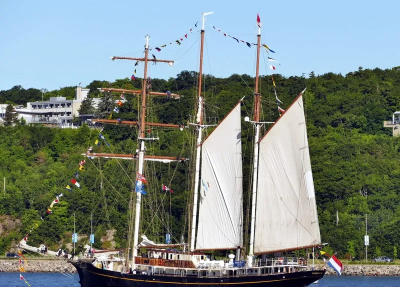 GULDEN LEEUW General Cargo IMO 5085897 photo 9