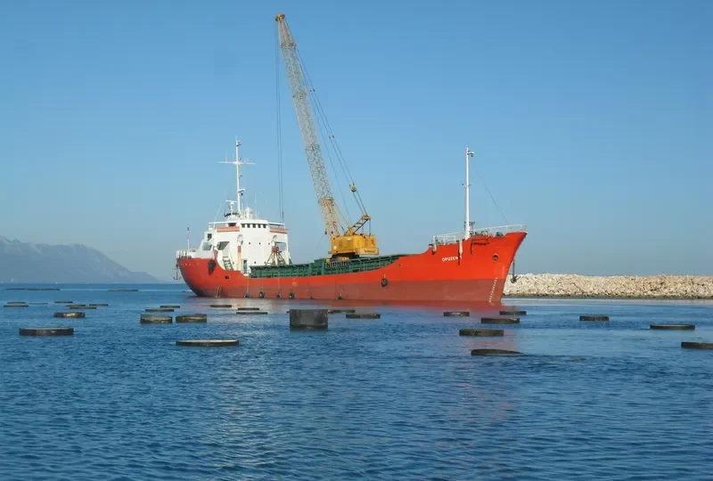 OPUZEN General Cargo IMO 5086322 photo 4