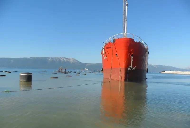 OPUZEN General Cargo IMO 5086322 photo 5