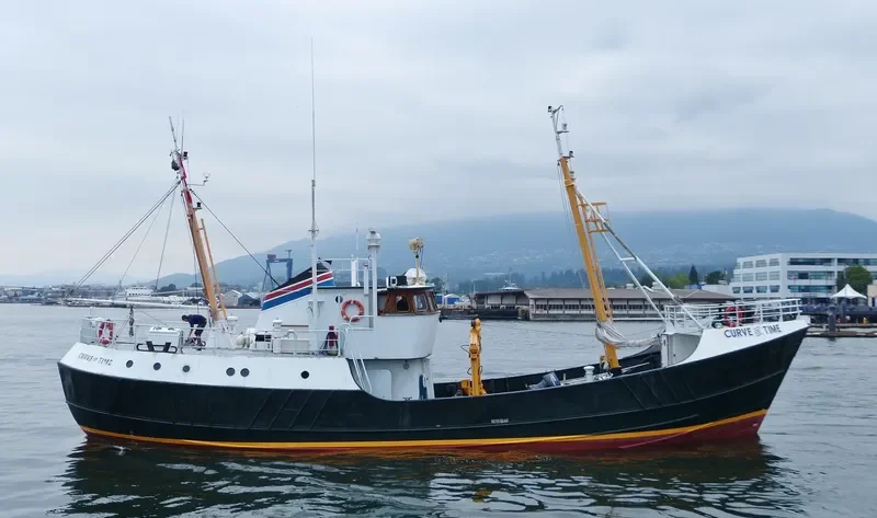 CURVE OF TIME General Cargo IMO 5087338