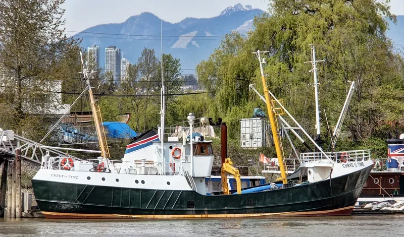 CURVE OF TIME General Cargo IMO 5087338 photo 7