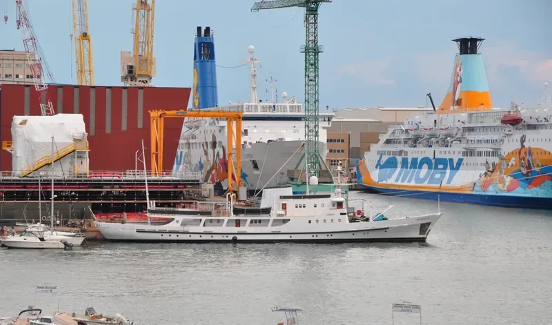 DIONEA General Cargo IMO 5090414