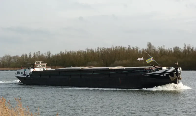 GIPSY Bulk Carrier IMO 5098181 photo 4