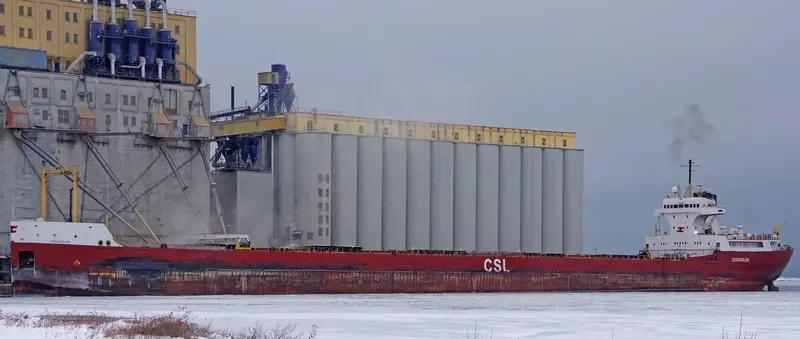 CEDARGLEN Bulk Carrier IMO 5103974