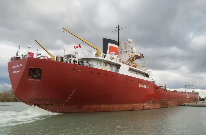 CEDARGLEN Bulk Carrier IMO 5103974 photo 3