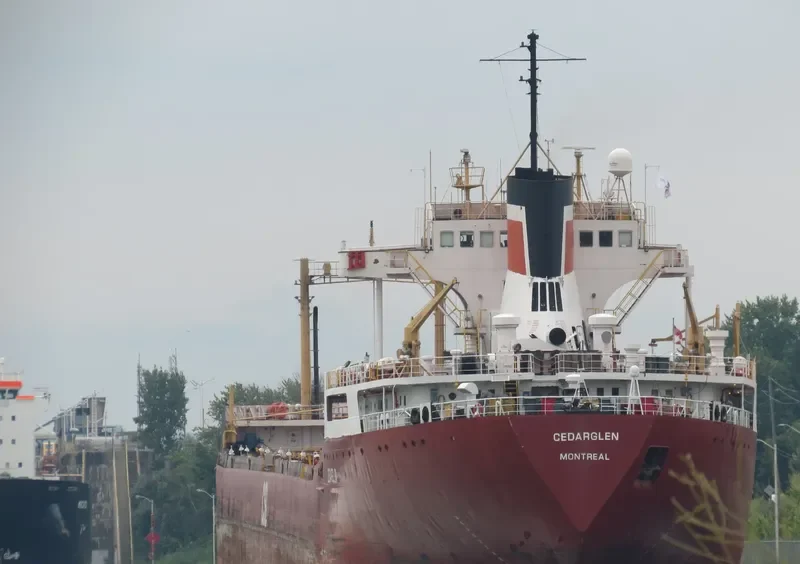 CEDARGLEN Bulk Carrier IMO 5103974 photo 7