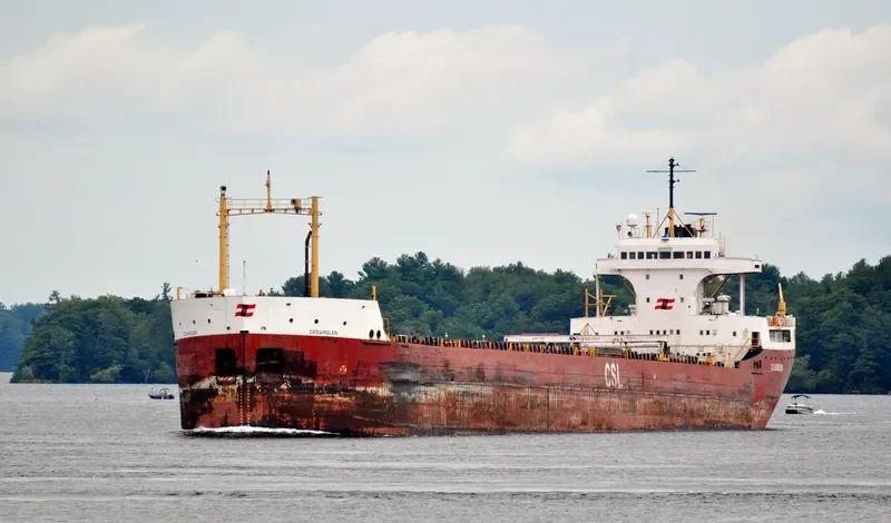 CEDARGLEN Bulk Carrier IMO 5103974 photo 10