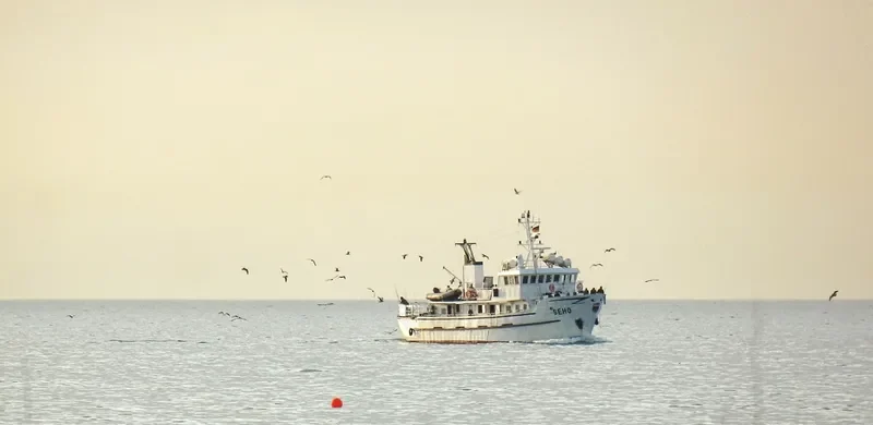SEHO Passenger Ship IMO 5104253