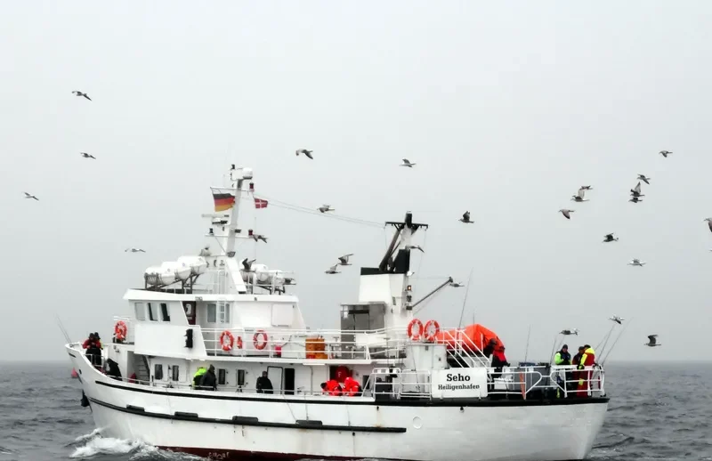 SEHO Passenger Ship IMO 5104253 photo 4