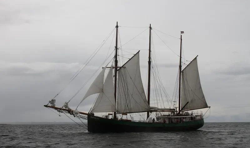 PIPPILOTTA General Cargo IMO 5105465